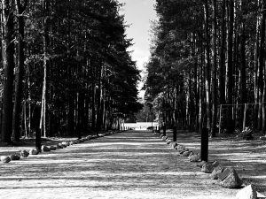 Lane of Remembrance in Sobibor (2023)